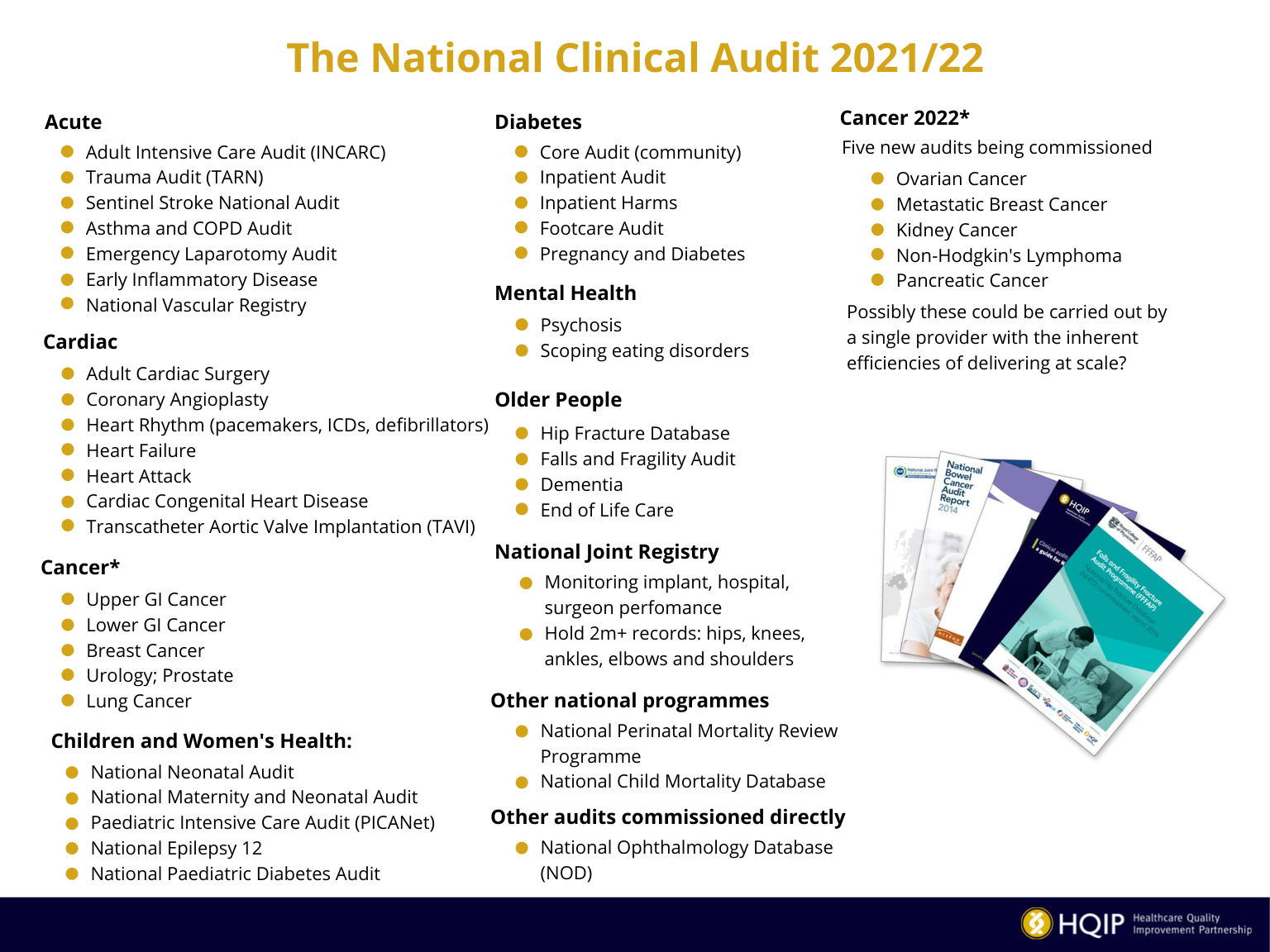 Blog The Future For National Clinical Audit HQIP   National Clinical Audit 22 23 