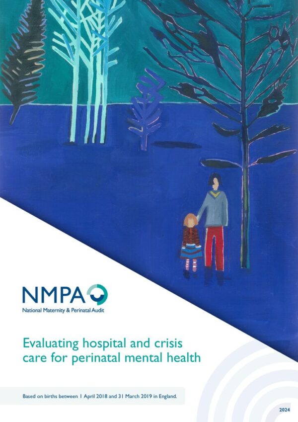 thumbnail of Ref. 480 Perinatal Mental Health report FINAL