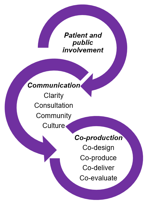 Patient and public involvement diagram